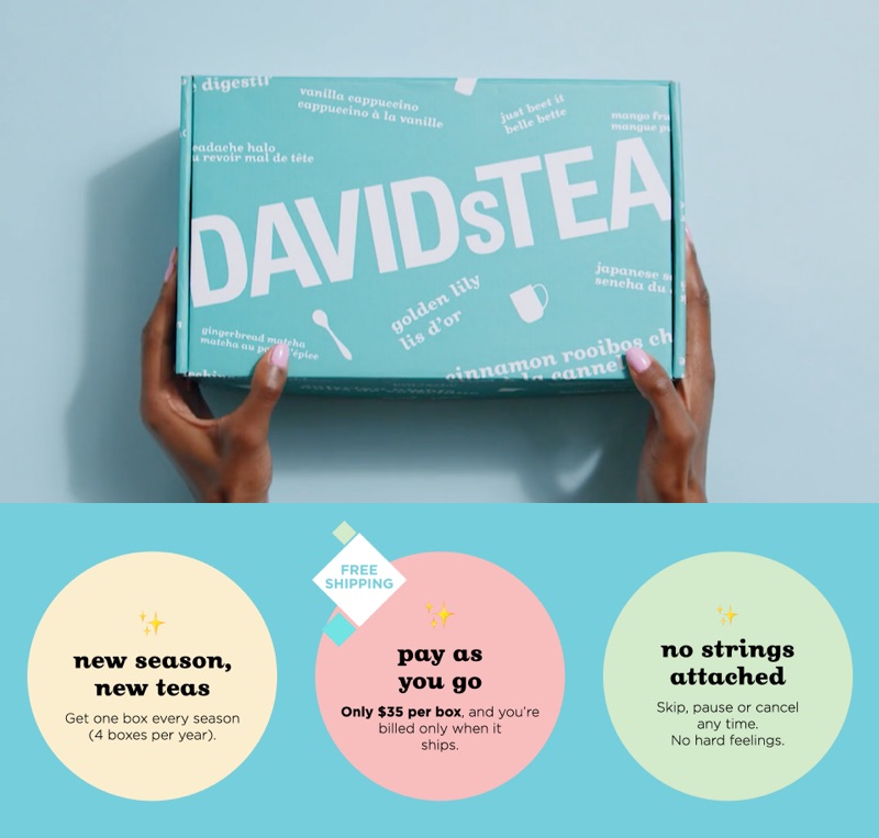 In a banner on the DAVIDs TEA website, a woman holds a DAVIDs TEA’s subscription box. 
