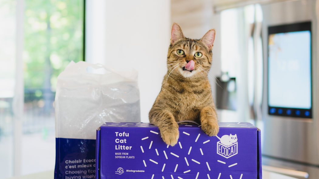 A cat licks its lips and leans against a Tofu cat litter package from EcoCat.