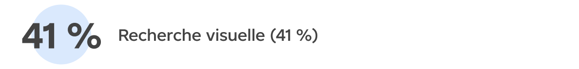 Recherche visuelle (41 %)
